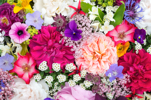 Difference Between Annual And Perennial Plants