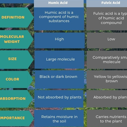 Difference Between Humic Acid and Fulvic Acid