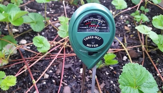 MOST EFFECTIVE PH TESTERS FOR HYDROPONICS AND SOIL IN 2022