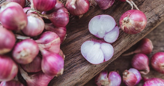 Planting & Growing Shallots