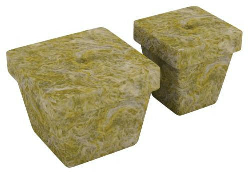 How to Grow Plants in Rockwool