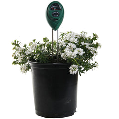 Active Air 3 - Way Meter - MGMLP1 Active Air 3 - Way Meter - MGMLP1