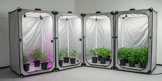 A complete indoor grow tent kit with an LED light and ventilation system for growing plants.