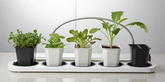 The best aeroponic plant cloner with young cuttings showing healthy new root growth.