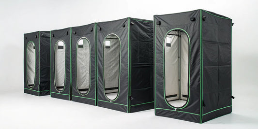 Cheap complete grow tent kits with black fabric and green trim, set up for an indoor grow.
