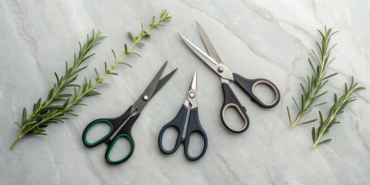 Three pairs of trimming scissors for plants with freshly cut herb stems.