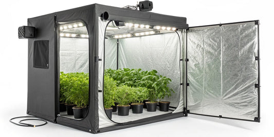An ideal LED grow light providing full coverage for plants inside a 4x4 tent.