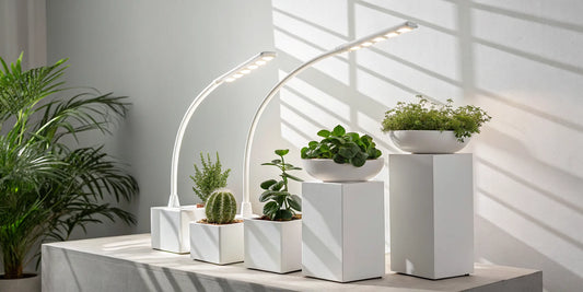 The best LED grow lights illuminating a variety of indoor plants.