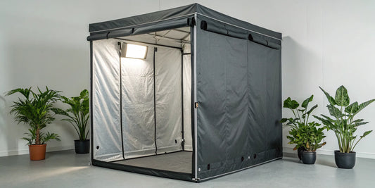 The best grow tent kit for beginners, set up with a full-spectrum LED light and ventilation.