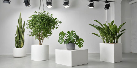 Indoor plants thriving under the best full spectrum LED grow lights.