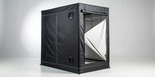 AC Infinity inline fan grow tent kit assembled and ready for growing.