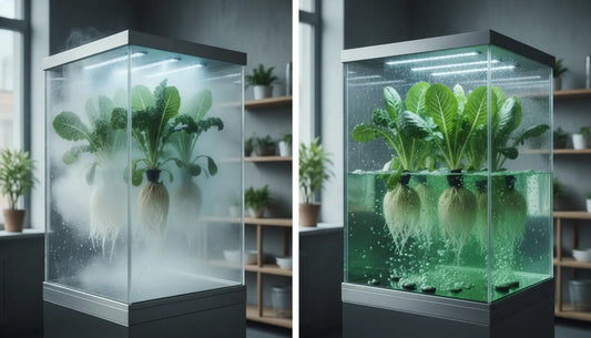 Aeroponic mist roots beside a hydroponic reservoir