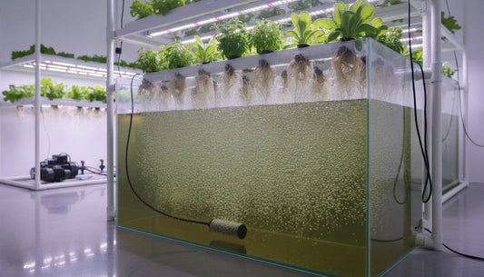 Air stone creating fine bubbles in a hydroponic reservoir