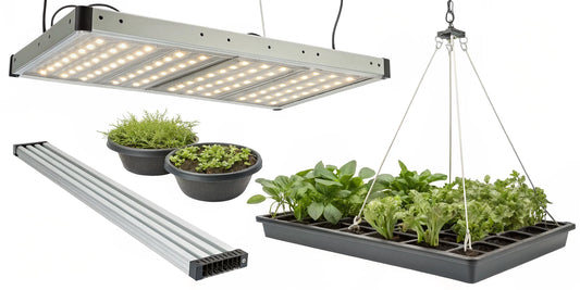 The best 1000w LED grow light illuminating a vibrant indoor garden.