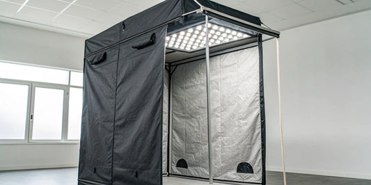 A complete 2x4 grow tent kit with an LED grow light and ventilation system.