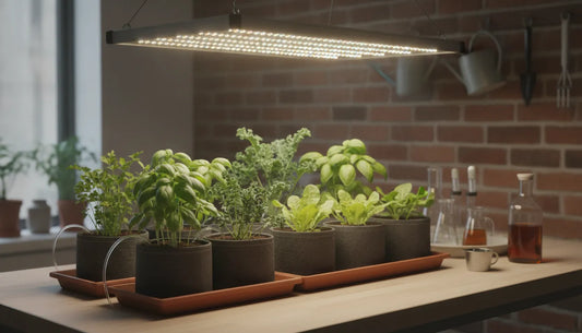 Healthy indoor plants growing under LED lights