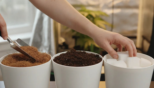 Hands filling clean grow pots with coco coir, soil, and rockwool cubes in a bright indoor growing space