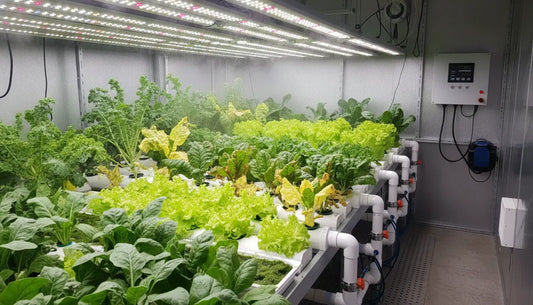 Indoor garden with leafy plants showing nutrient deficiency symptoms like yellowing leaves and brown spots under grow lights