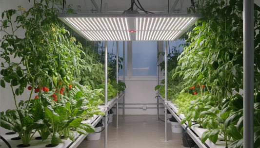 A professional full-spectrum LED grow light panel illuminating a clean indoor garden setup with healthy green plants
