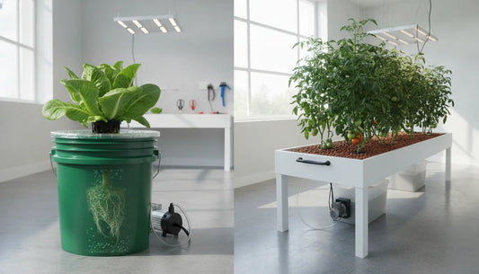 Two indoor hydroponic setups side by side: a Deep Water Culture bucket and an Ebb and Flow flood table with thriving plants