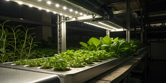 A digital grow light ballast controlling the power for an indoor grow light.