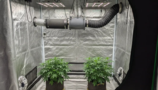 Grow tent ventilation system with inline duct fan and carbon filter airflow setup