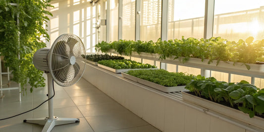 A grow room ventilation kit with an inline fan and carbon filter installed above green plants.