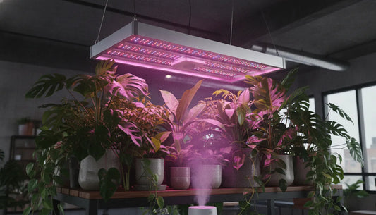 A full spectrum LED grow light hanging over green healthy indoor plants