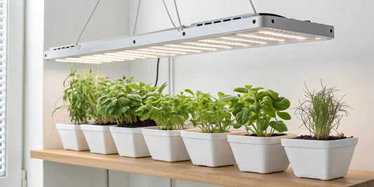 Calculating the cost per month for a 1000 watt LED grow light over indoor plants.