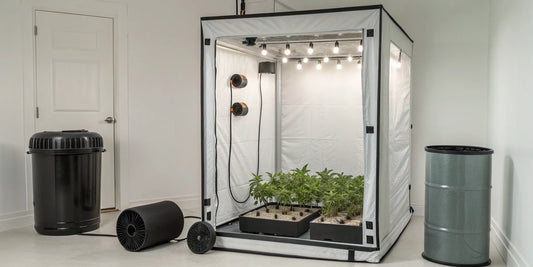 A complete grow tent kit setup with LED lights, a carbon filter, and ventilation system installed.