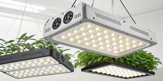 Commercial LED grow lights from a reputable manufacturer installed in a professional indoor grow facility.