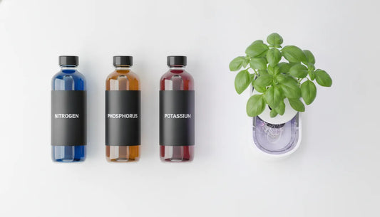 Three modern hydroponic nutrient bottles labeled Nitrogen, Phosphorus, and Potassium on a clean studio background with a healthy green basil plant