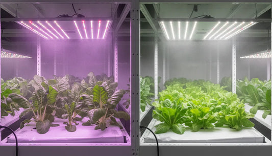 LED grow light bars vs panels illuminating an indoor plant canopy