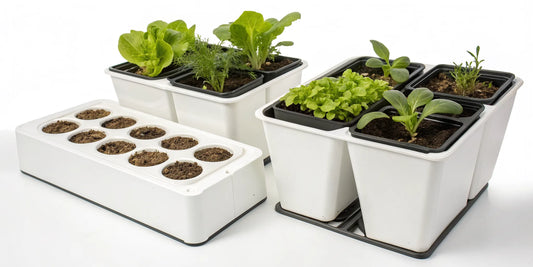 Best hydroponic system for beginners growing fresh leafy greens and herbs.