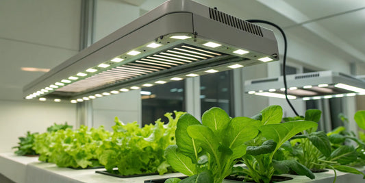 Multiple commercial LED grow lights illuminating rows of plants in an indoor farm.