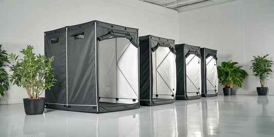 A selection of the best 4x4 grow tents for an indoor garden setup.