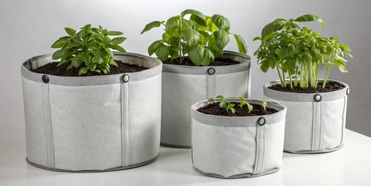5 gallon fabric pots for sale with healthy green plants growing.