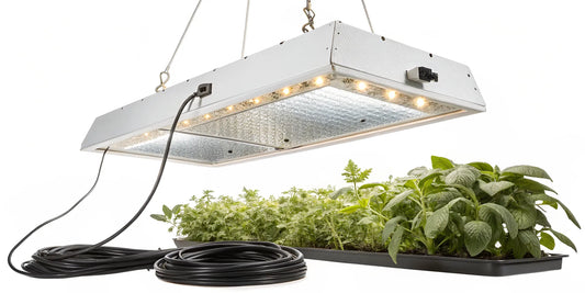 A 600w HPS grow light kit illuminating a tray of healthy indoor plants.