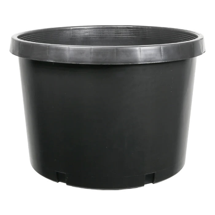 DL Wholesale 10 Gallon Squat Injection Molded Pot - USA