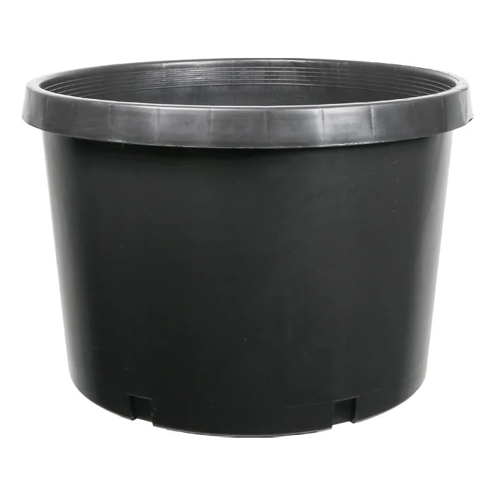 DL Wholesale 20 Gallon Squat Injection Molded Pot - USA