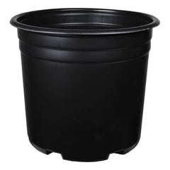 DL Wholesale 5 Gallon Squat Thermoformed Plastic Pot