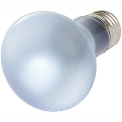Agrosun Dayspot Incandescent Bulb, 60W - Grow Lights