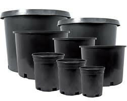 Pro Cal Premium Nursery Pot, 20 Gallon - Soils & Containers