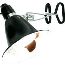 Agrosun Dayspot Grow Light Kit, 60W - Bulb Included