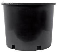 Pro Cal Premium Nursery Pot, 5 Gallon