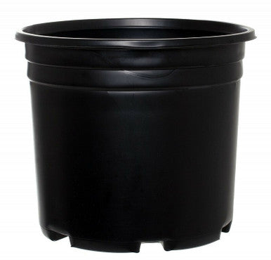 Pro Cal Thermoformed Nursery Pot, 5 Gallon - Squat