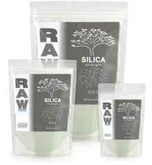NPK RAW Silica 2oz