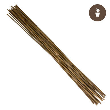 DL Wholesale 6' Natural Bamboo Stakes Bulk (250/bale)