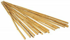 GROW!T 4' Bamboo Stakes -  Natural -  pack of 25