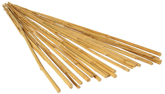 GROW!T 6' Bamboo Stakes, Natural, pack of 25 - Garden care